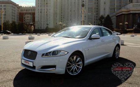 Прокат Jaguar XF (Белый Ягуар) на свадьбу
