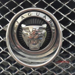 Прокат Jaguar XF (Белый Ягуар) на свадьбу 0